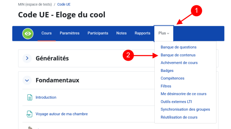 Capture d'écran du menu d'accès à la banque de contenus