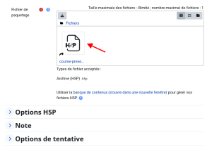 Capture d'écran du formulaire de paramétrage d'une activité H5P